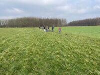 WhatsApp Image 2025-03-15 at 17.18.33